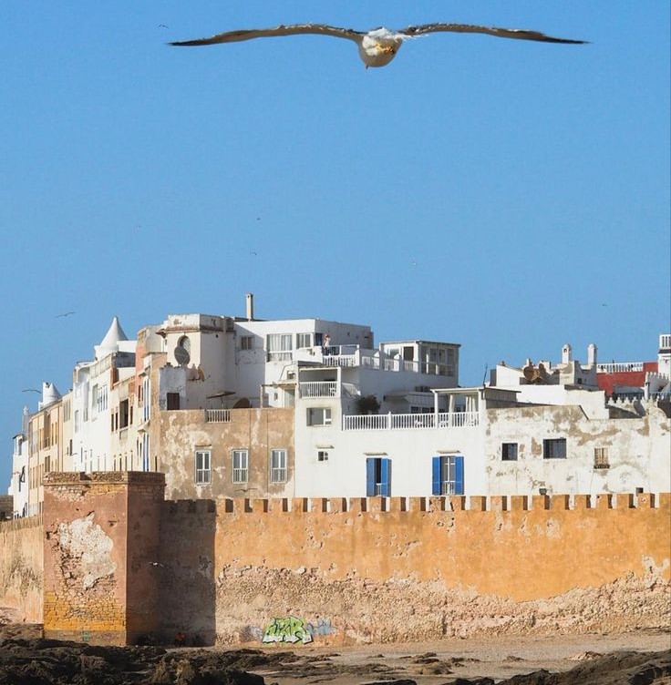 expertise tourisme Essaouira